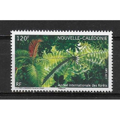 Nouvelle-Caledonie 2011 ! Année Internationale Des Forêts : Forêt Avec Fougères Arborescentes Et Palmier Chambeyronia : Timbre À 120 F. Multicolore Neuf **