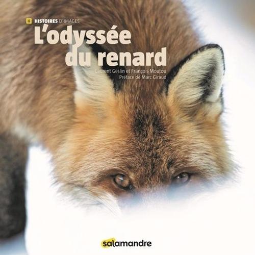 L'odyssée Du Renard