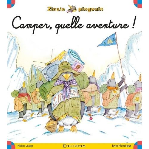 Zinzin Pingouin - Camper Quelle Aventure !