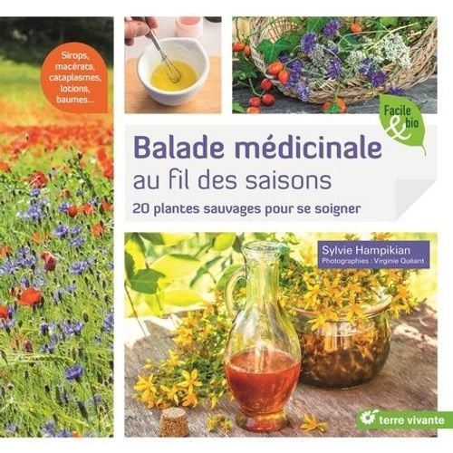 Balade Médicinale Au Fil Des Saisons - 20 Plantes Sauvages Pour Se Soigner