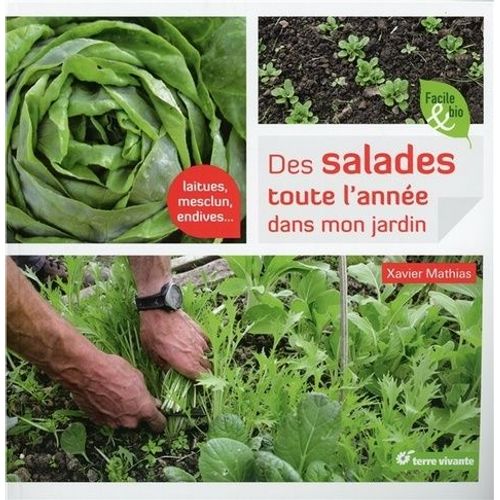 Des Salades Toute L'année Dans Mon Jardin