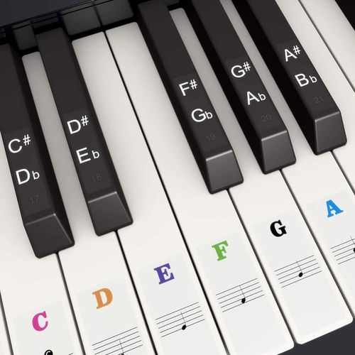 Autocollants De Piano De Couleur Pour 37, 49, 54, 61, 88 Touches, Autocollants Coloré Piano De Remplacement Piano Stickers Notes Pour Clavier Pour Enfant Débutant, Transparents Et Amovibles