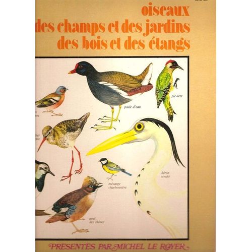 Bruits - Oiseaux Des Champs, Des Jardins, Des Bois Et Des Étangs, Alouette, Faucon Crécerelle, Pic Vert, Troglodyte, Corneille, Poule D'eau, Chouette Hulotte, Hibou Scops, Mésange À Tête Bleue...