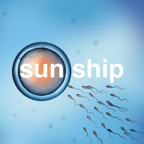 The Brian Jonestown Massacre - Sun Ship [Vinyl Lp] 10"