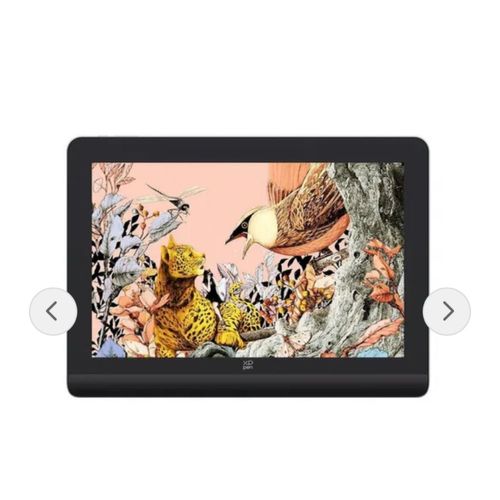 XP Pen - Artist Pro 16 Gen 2 Tablette graphique