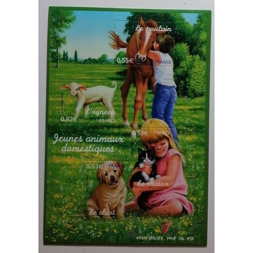 France 2006, Bloc Feuillet Neuf, Jeunes Animaux Domestiques - Vétérinaire Pour La Vie, Le Chaton, Le Chien, Le Poulain, L'agneau. -