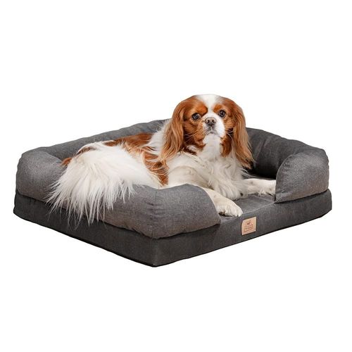Panier Pour Chien Orthopédique Memor-One M En Memory Foam Housse Amovible Lavable