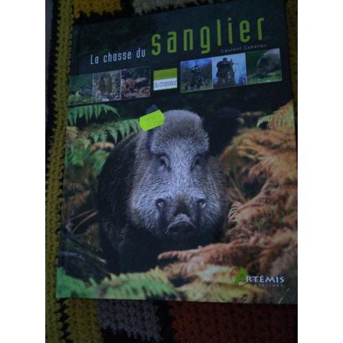 La Chasse Du Sanglier