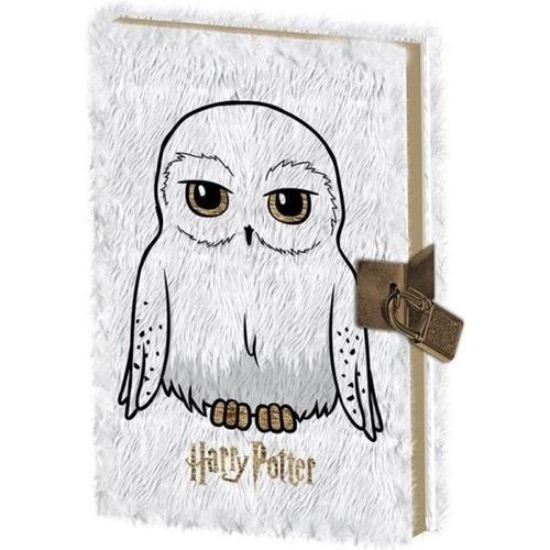 JOURNAL INTIME HARRY POTTER