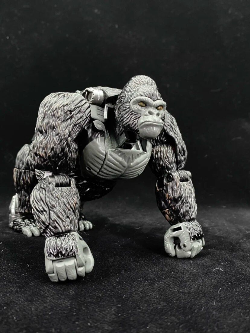 Tb-02 Sans Bote - Transformation Beast Wars Transmetal Gori... - 6