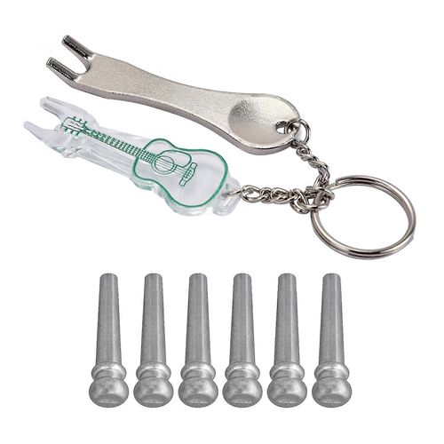 6 Pices De Guitare Bridge Pins 6 String Peg Chrome Set W / Puller Remover