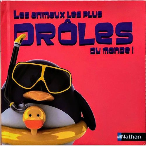 Les Animaux Les Plus Drôles Du Monde !