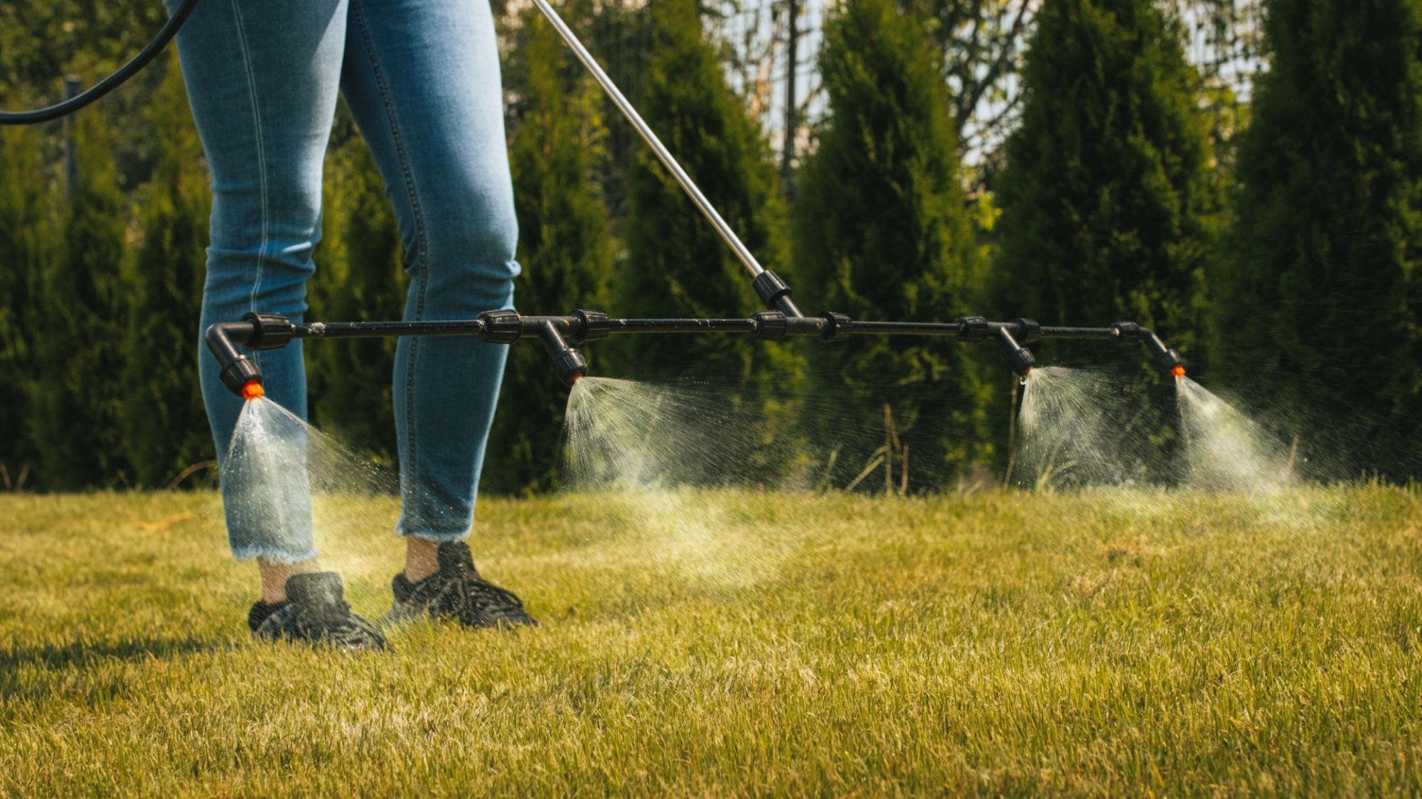 Pulvérisateur électrique sur batterie