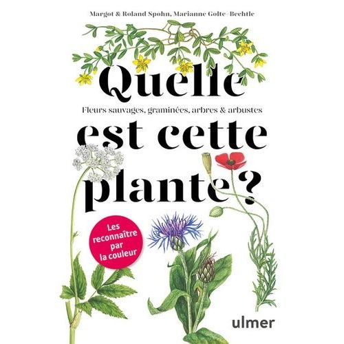 Quelle Est Cette Plante ?