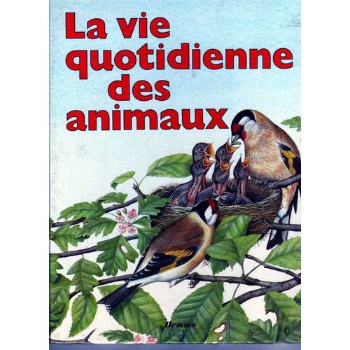 La Vie Quotidienne Des Animaux