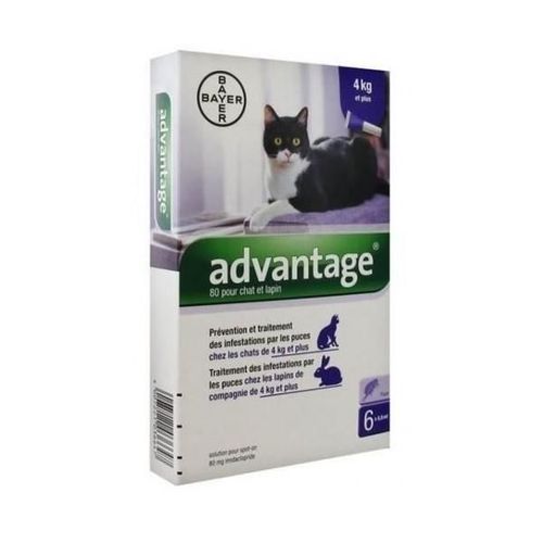Advantage 80 Chat Et Lapin De + De 4 Kg