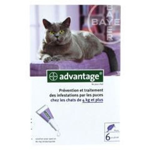 Bayer Advantage 80 Solution Antipuce Pour Chats?
