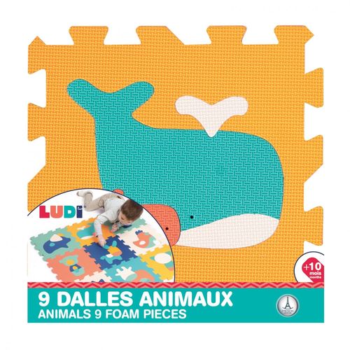 Ludi Dalles Animaux
