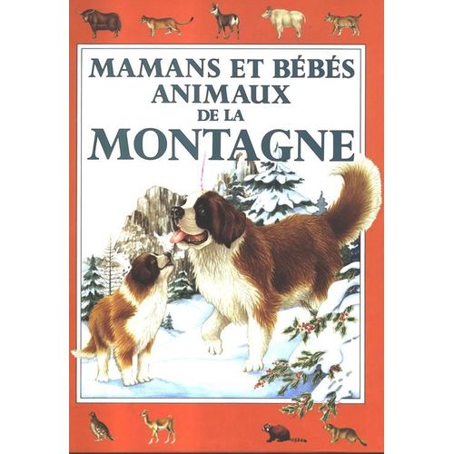 Mamans Et Bébés Animaux De La Montagne