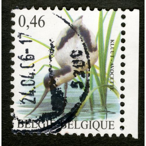 Timbre Oblitéré Belgie, Belgique, Kluut - Avocette, 0.46