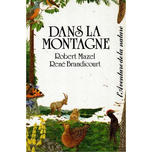 Dans La Montagne