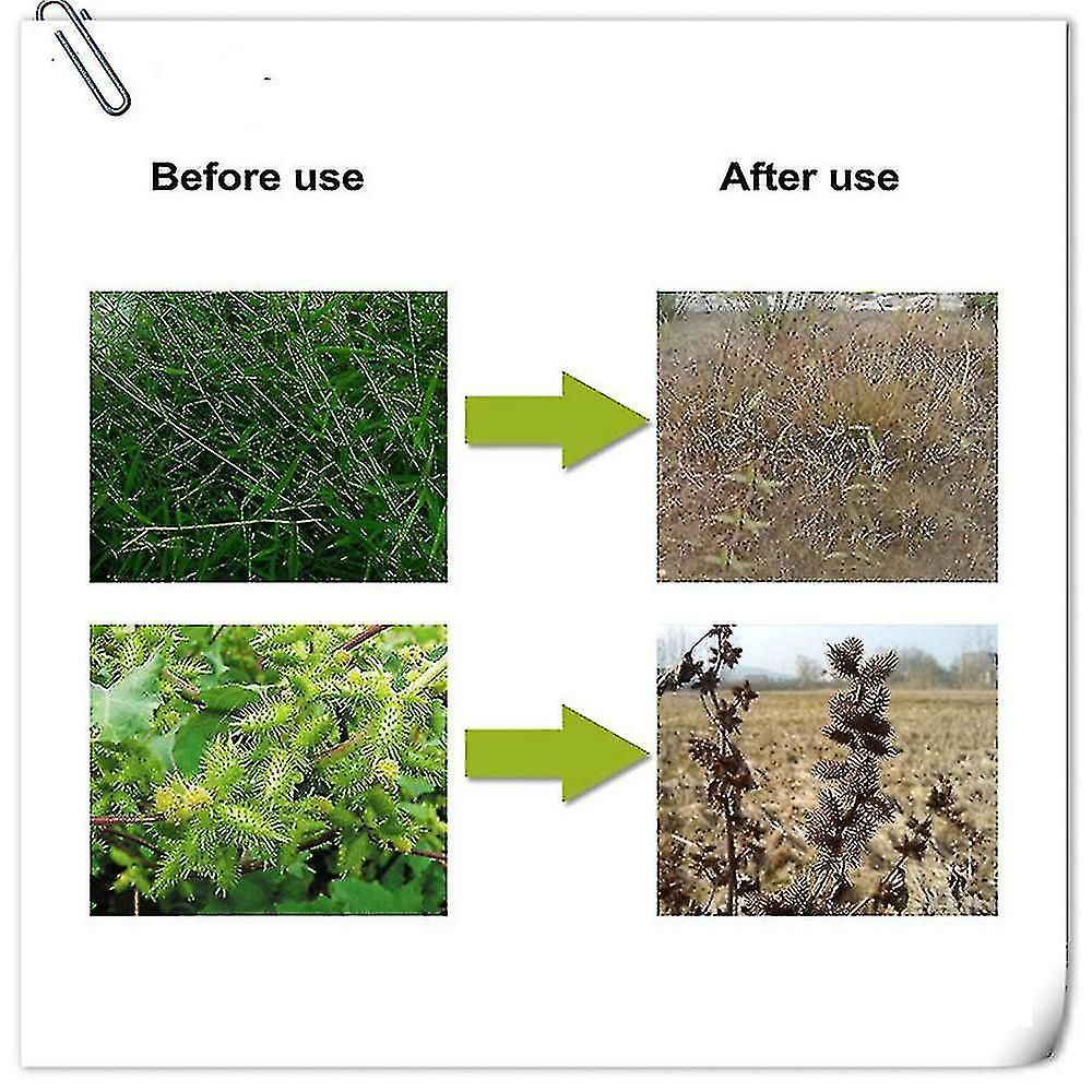 Jardin 74.7% Glyphosate Dsherbant Glyphosate Herbicide Glyp... - 3