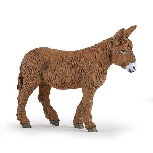 La Vie A La Ferme Baudet Du Poitou
