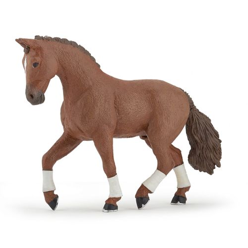 Chevaux, Poulains Et Poneys Cheval Hanovrien Alezan