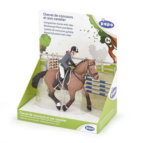 Chevaux, Poulains Et Poneys Cheval De Concours Et Son Cavalier