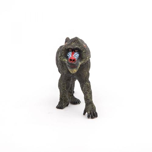 La Vie Sauvage Mandrill