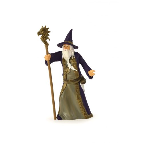 Medieval Et Fantastiques Le Sorcier