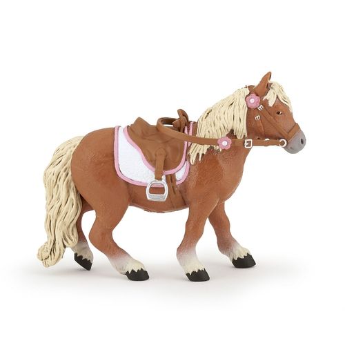 Chevaux, Poulains Et Poneys Poney Shetland Avec Selle