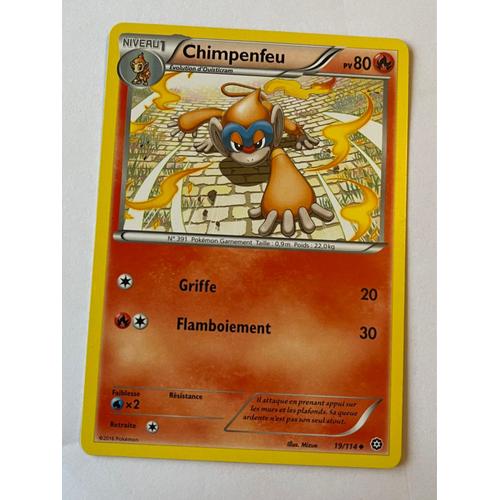 Carte Pokémon Chimpenfeu 19/114