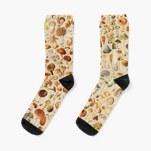 Chaussettes Taille Unique Collection De Conceptions De Champignons Vintage Nouveauté Fantaisie Motif Fou Équipage Décontracté Pour Hommes Femmes