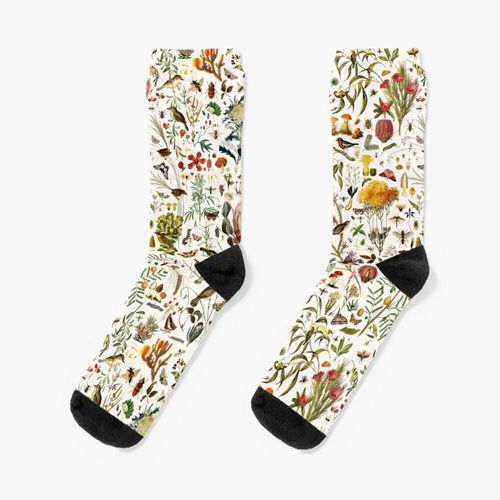 Chaussettes Taille Unique Biology Australia. Nouveauté Fantaisie Motif Fou Équipage Décontracté Pour Hommes Femmes