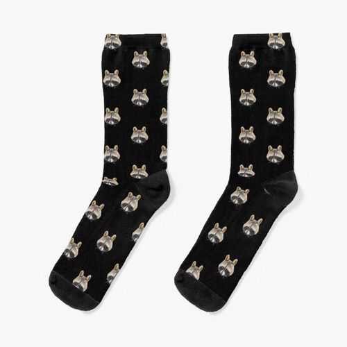 Chaussettes Taille Unique Mignon Raton Laveur Nouveauté Fantaisie Motif Fou Équipage Décontracté Pour Hommes Femmes
