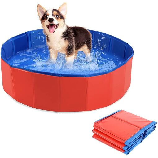 2025 - Piscine pour chiens, pataugeoire pour enfants, piscine pliable