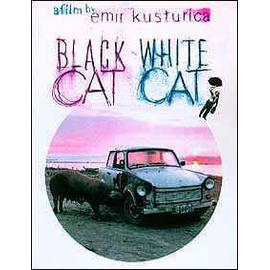 CHAT NOIR CHAT BLANC DVD Zone 2 Rakuten