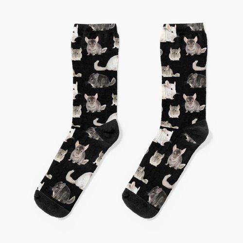 Chaussettes Taille Unique Pack De Chinchilla Nouveauté Fantaisie Motif Fou Équipage Décontracté Pour Hommes Femmes