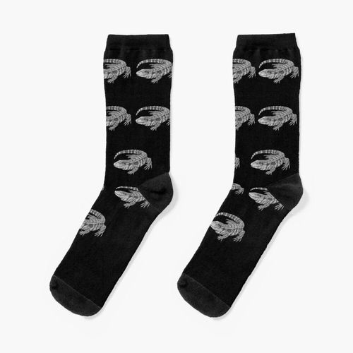 Chaussettes Taille Unique Tegu Nouveauté Fantaisie Motif Fou Équipage Décontracté Pour Hommes Femmes