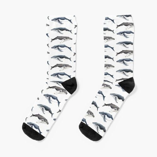 Chaussettes Taille Unique Baleines À Bosse (Megaptera Novaeangliae) Nouveauté Fantaisie Motif Fou Équipage Décontracté Pour Hommes Femmes