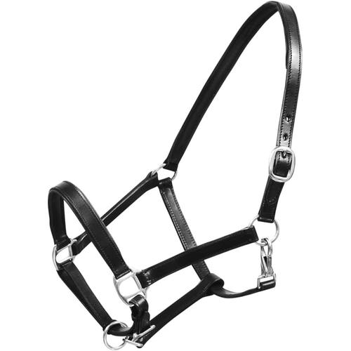 Licol Licou En Cuir R¿¿Glable Pour ¿¿Curie Cheval Noir Licou Pour Cheval