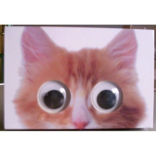 Chat Boite De Rangement + 50 Memos / Crayon Hd 15 X10 X 4 Cm