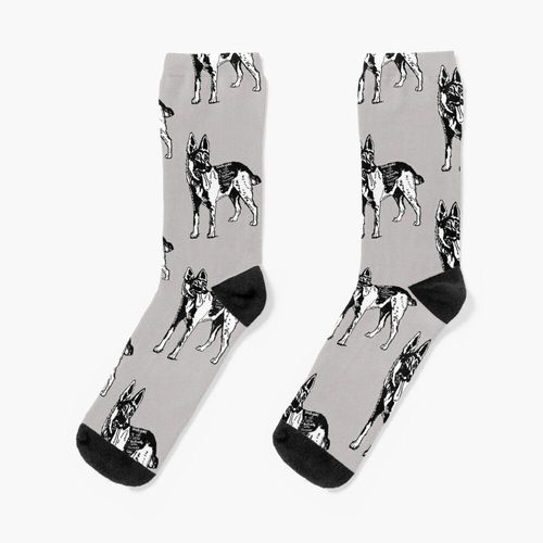 Chaussettes Taille Unique Berger Allemand Avec Des Mots Descriptifs Graphiques Noir Et Blanc Nouveauté Fantaisie Motif Fou Équipage Décontracté Pour Hommes Femmes