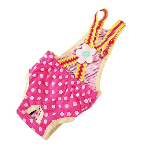 Culottes Hygiéniques Physiologiques Pour Chiennes (Xs)