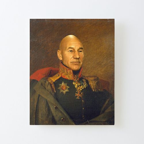 Canevas imprimer Sir Patrick Stewart OBE - Remplacer Face Impression sur toile Roulée Tableau Art Décoration Murale / Sans cadre 40X50cm