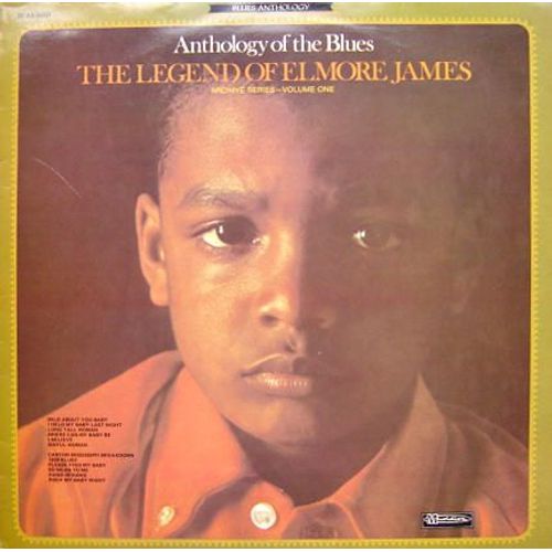 The Legend Of Elmore James