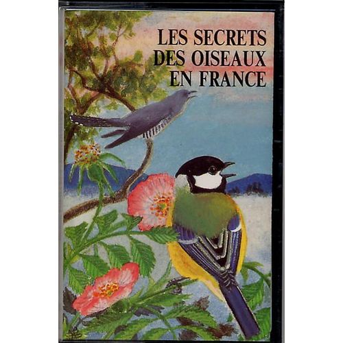 Les Secrets Des Oiseaux En France