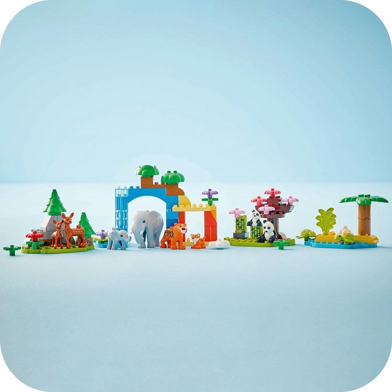 Jouet �ducatif pour petits explorateurs