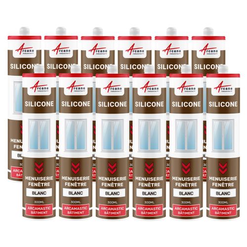 Mastic silicone fenêtre menuiserie étanchéité Blanc 300 ml x 12